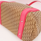 Dior Handbag Trotter Logo Plate Cotton Canvas — view 7