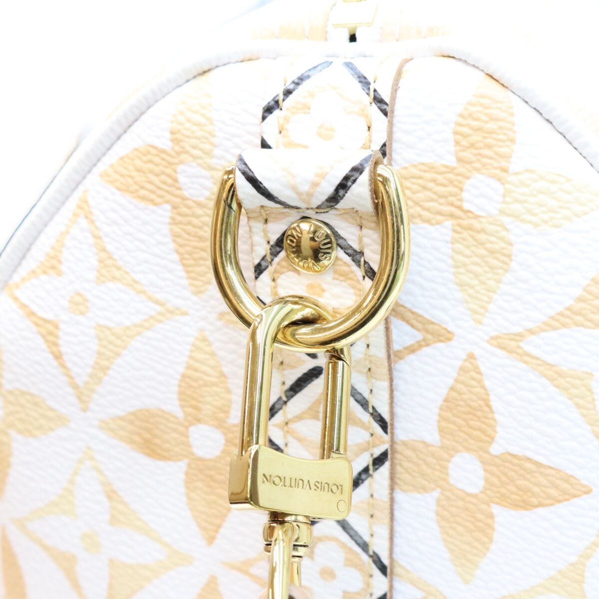 Louis Vuitton LV by the Pool Speedy Bandouliere 25 Mini Boston Bag — view 8