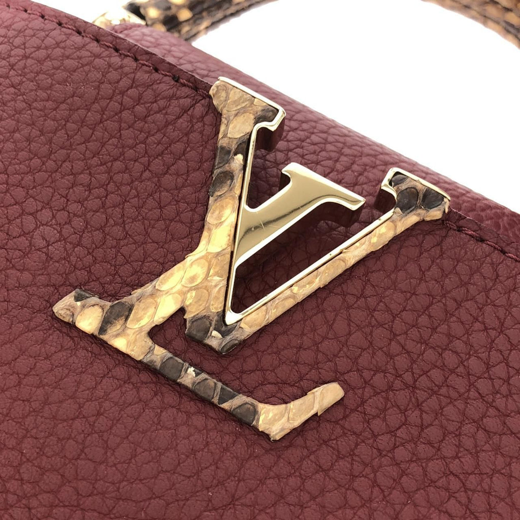 Louis Vuitton Exotic Leather Capucines Mini Bag — view 4