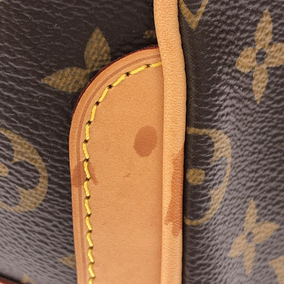 Louis Vuitton Monogram Estrella Bag — view 6