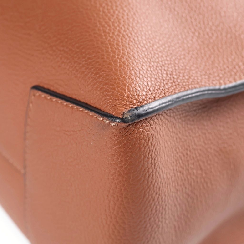 Loewe Buckle Zipper Anagram Logo Leather Tote Bag Silver Brown — view 5