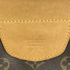 Louis Vuitton Tote Bag Monogram Streza PM Brown — view 5