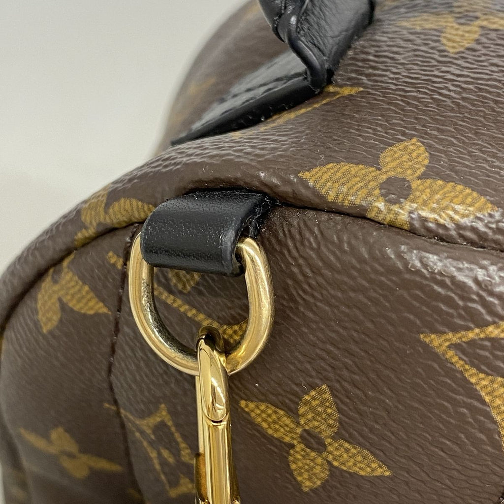 Louis Vuitton Backpack Monogram Palm Springs Mini Brown — view 8