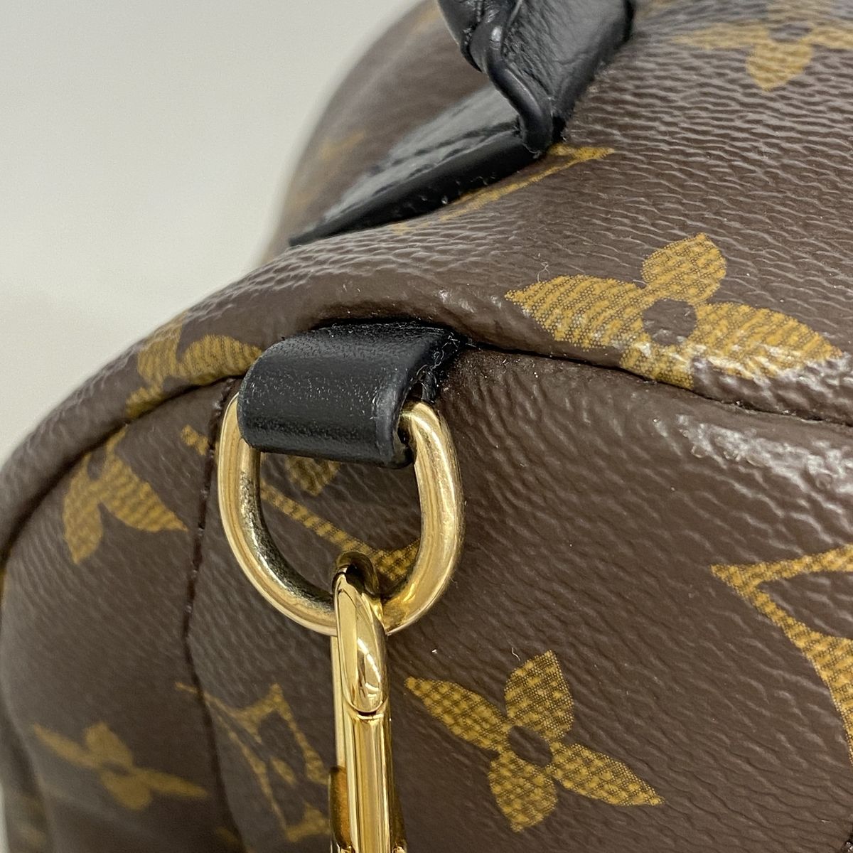 Louis Vuitton Backpack Monogram Palm Springs Mini Brown — view 8