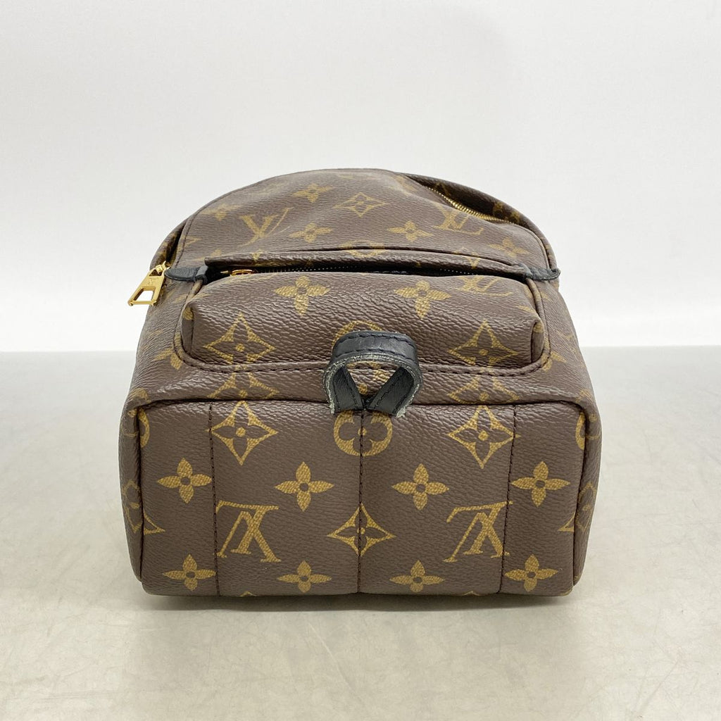 Louis Vuitton Backpack Monogram Palm Springs Mini Brown — view 3