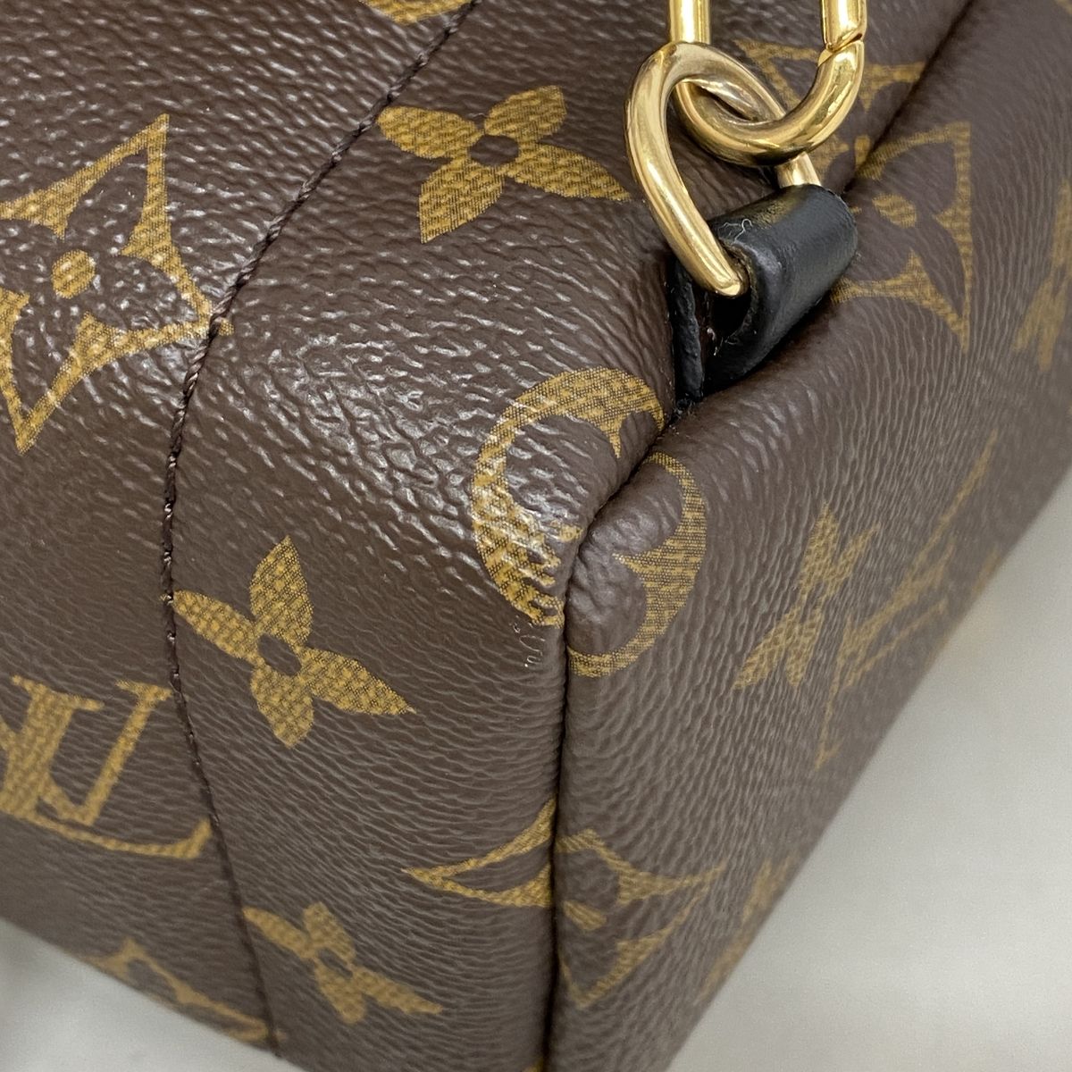 Louis Vuitton Backpack Monogram Palm Springs Mini Brown — view 6