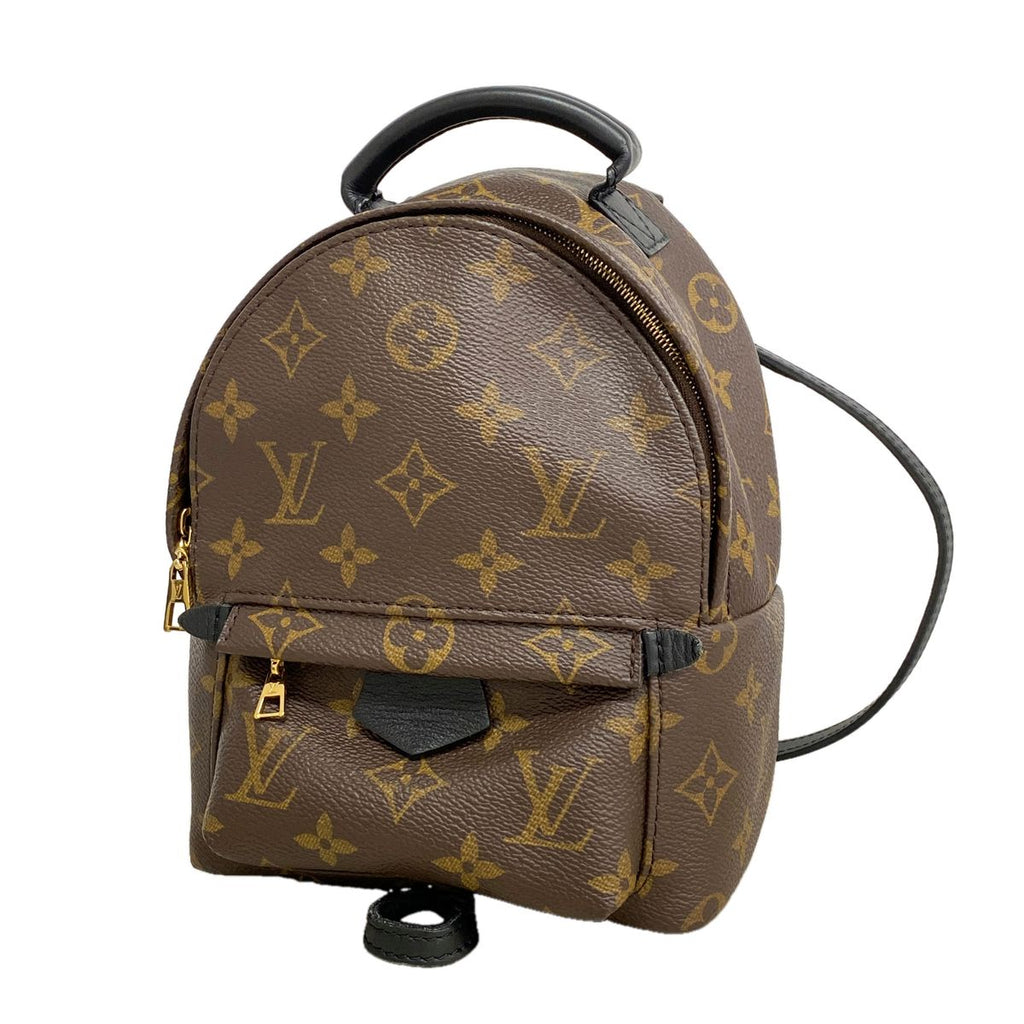 Louis Vuitton Backpack Monogram Palm Springs Mini Brown