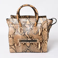 Celine Luggage Handbag Beige Brown Dark Gold