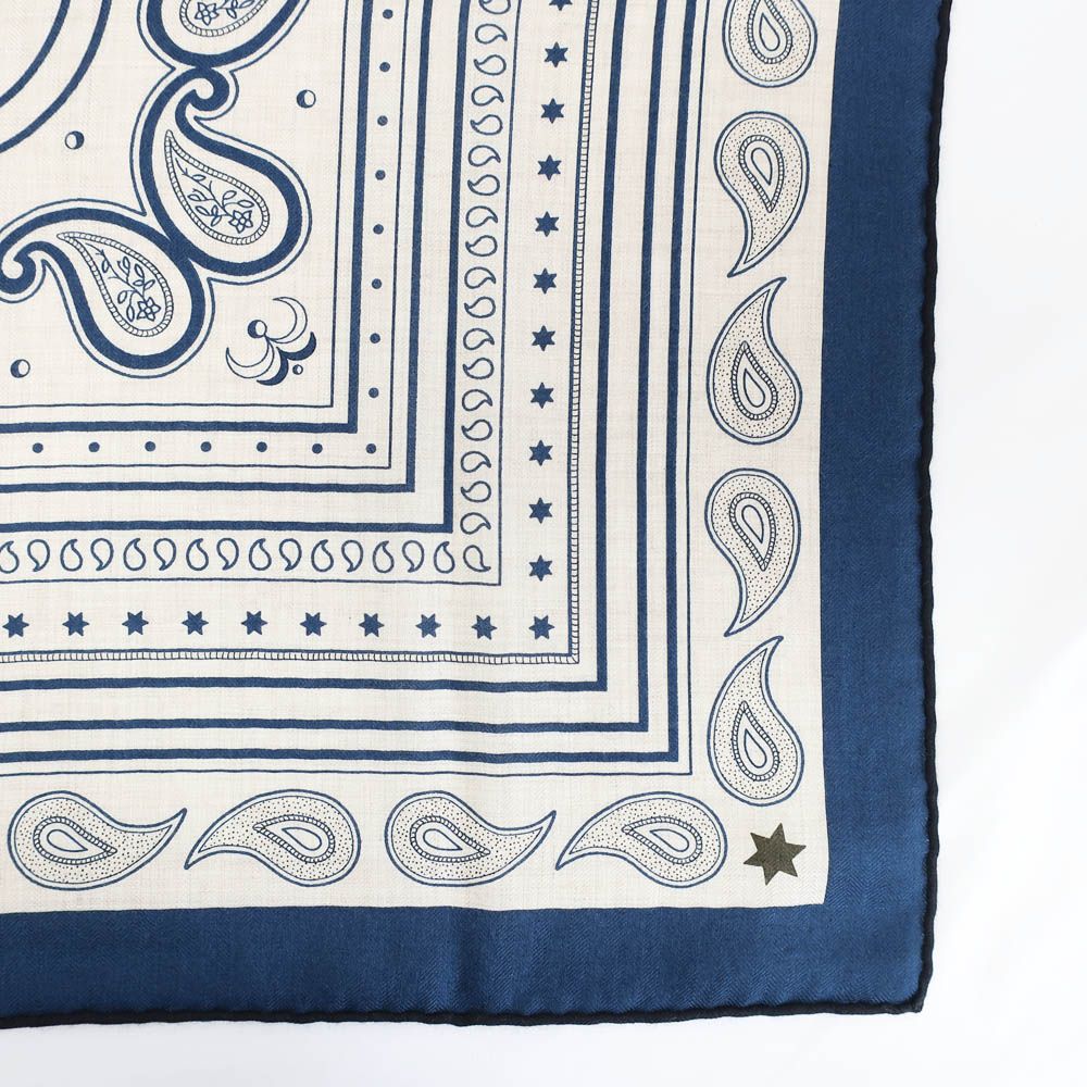 Hermes Carre Geant Grand Appara Bandana Scarf Cashmere Silk Navy — view 7