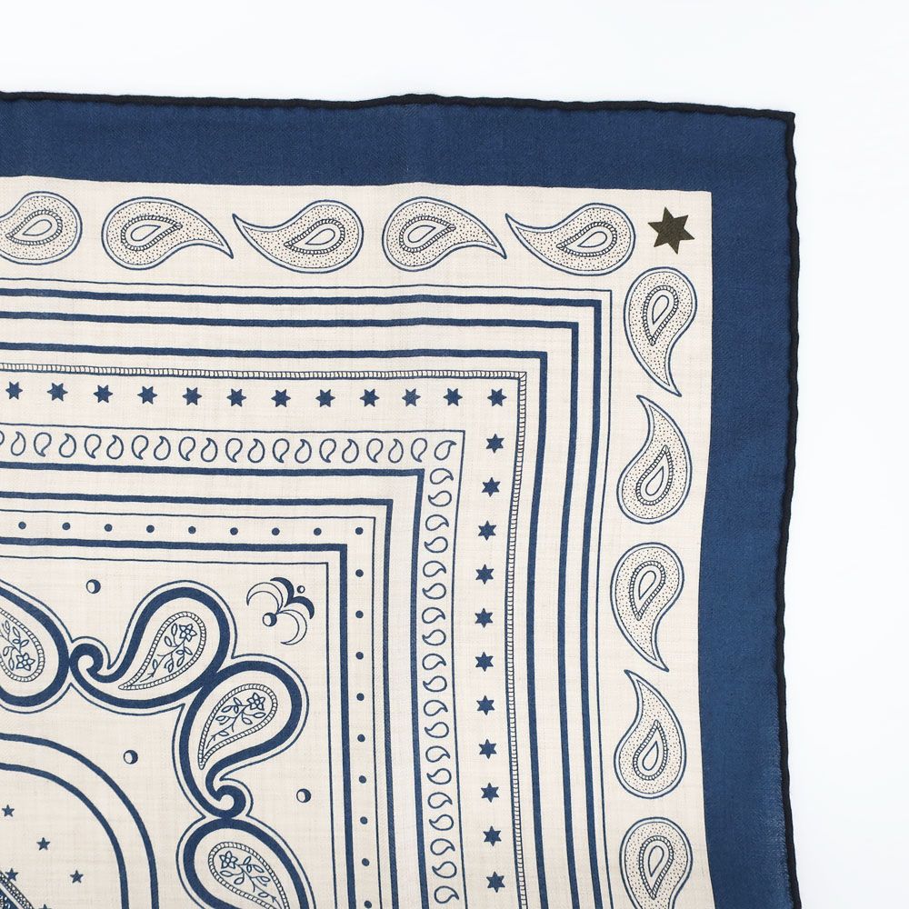 Hermes Carre Geant Grand Appara Bandana Scarf Cashmere Silk Navy — view 4