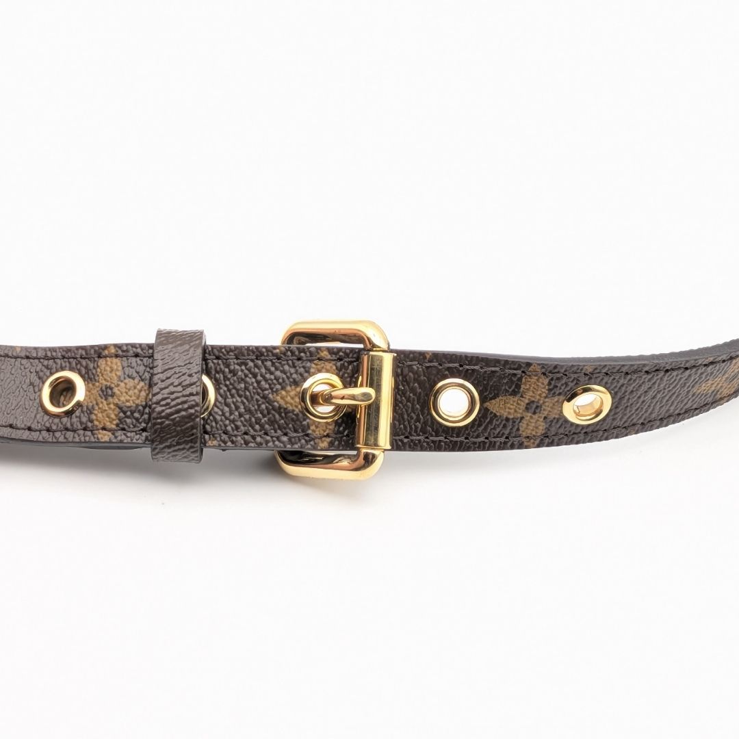 Louis Vuitton Shoulder Strap Monogram Adjustable Gold Pallas Handbag — view 4