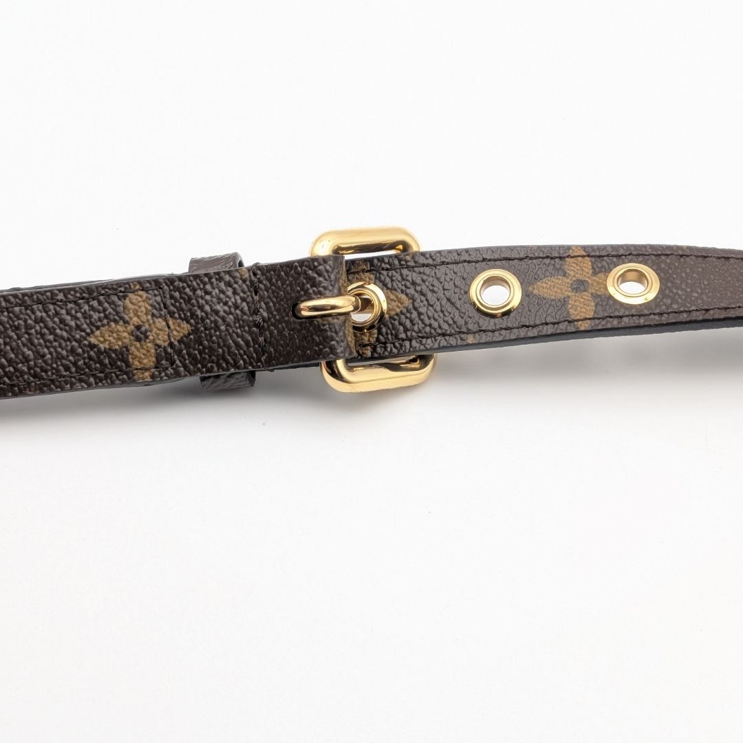 Louis Vuitton Shoulder Strap Monogram Adjustable Gold Pallas Handbag — view 5