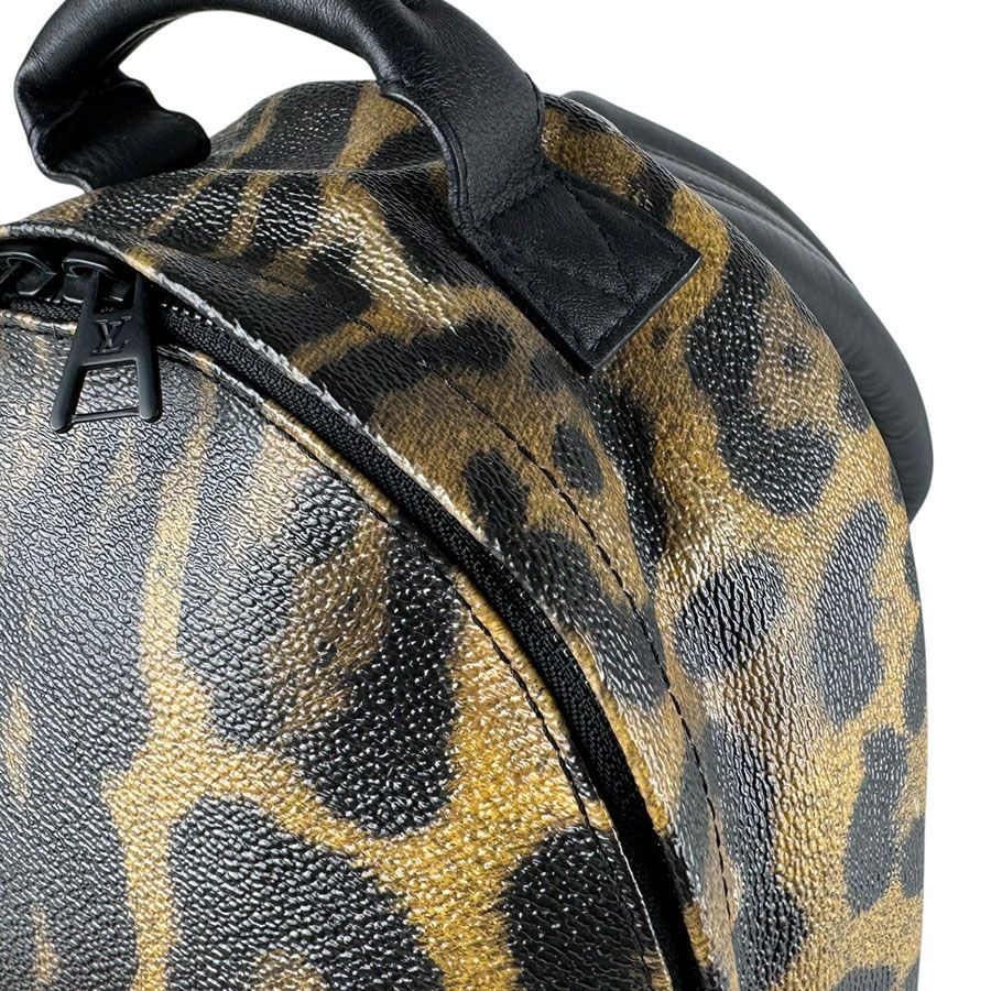 Louis Vuitton Backpack Palm Springs — view 7