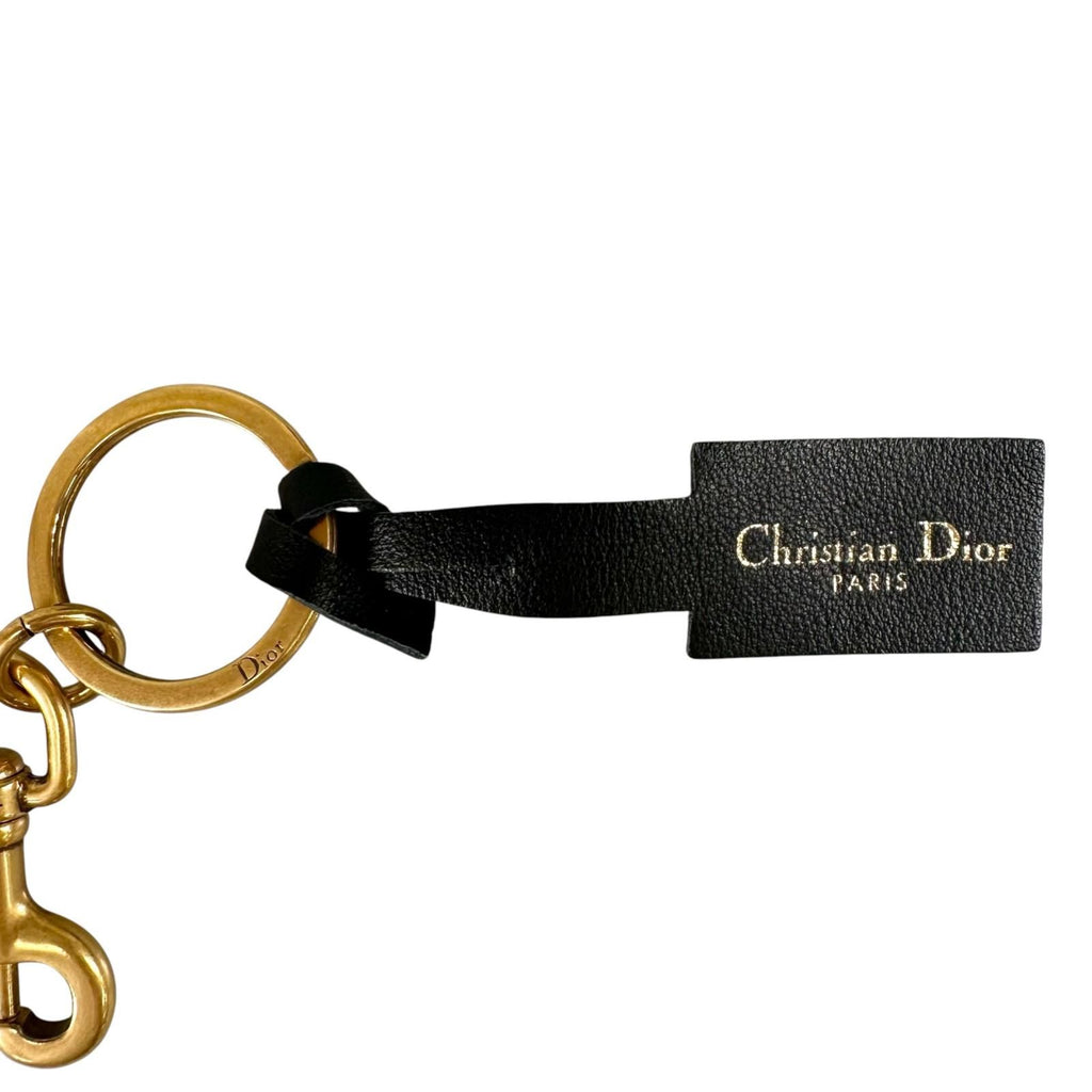 Dior Logo Micro Leather Canvas Black Shoulder Strap Gold — view 7