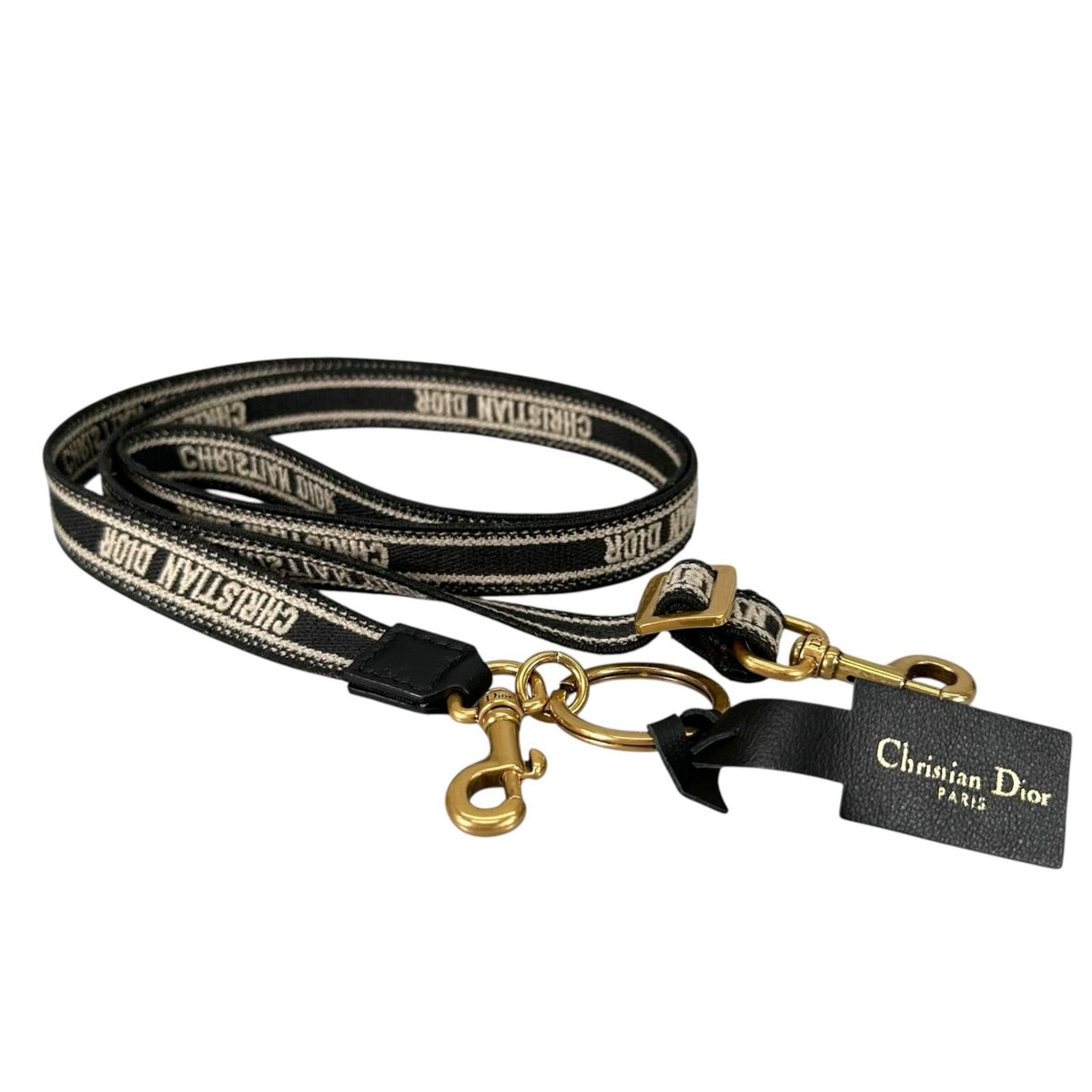 Dior Logo Micro Leather Canvas Black Shoulder Strap Gold