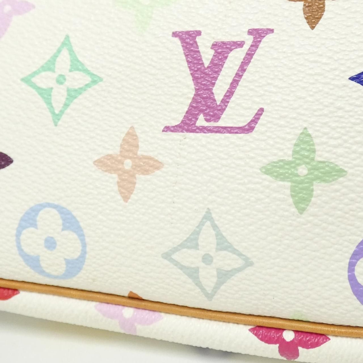 Louis Vuitton Multicolor Pochette Accessoires Pouch — view 5