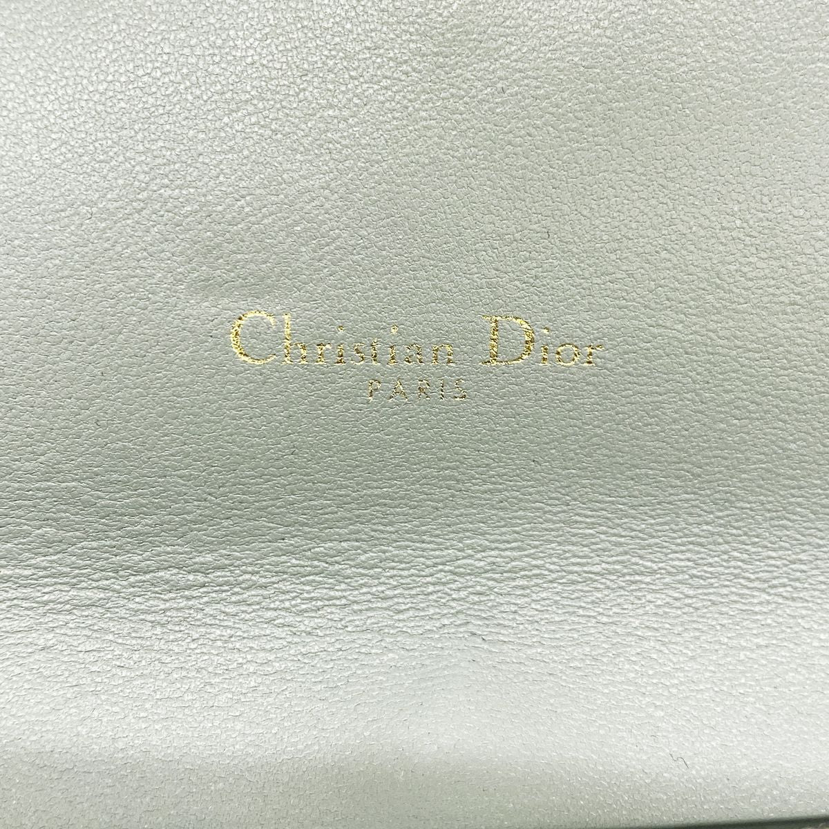 Dior Wallet on Chain Saddle Leather Gray Gold Shoulder Bag — view 5