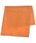 Louis Vuitton Bandana Scarf