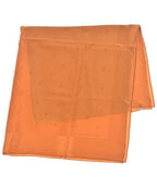 Louis Vuitton Bandana Scarf