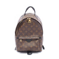 Louis Vuitton Backpack Palm Springs PM Monogram Leather PM