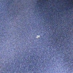 Hermes Sac Fool to PM Bag — view 8