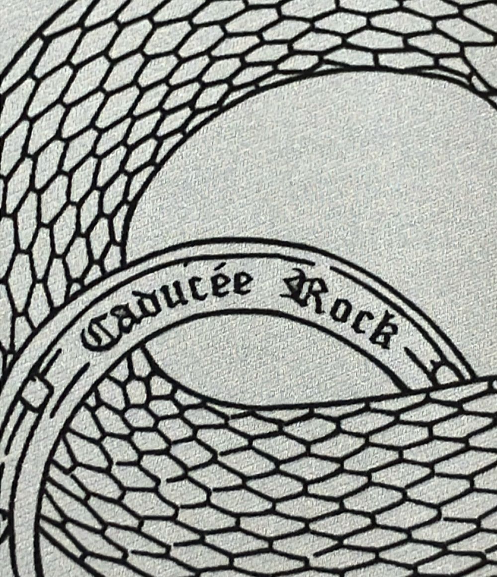Hermes Scarf Carre 45 Silk 100% Caduse Rock — view 4