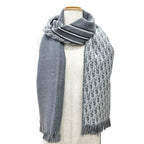 Dior Homme Trotter Wool 100% Fringe Long Scarf Gray — view 2