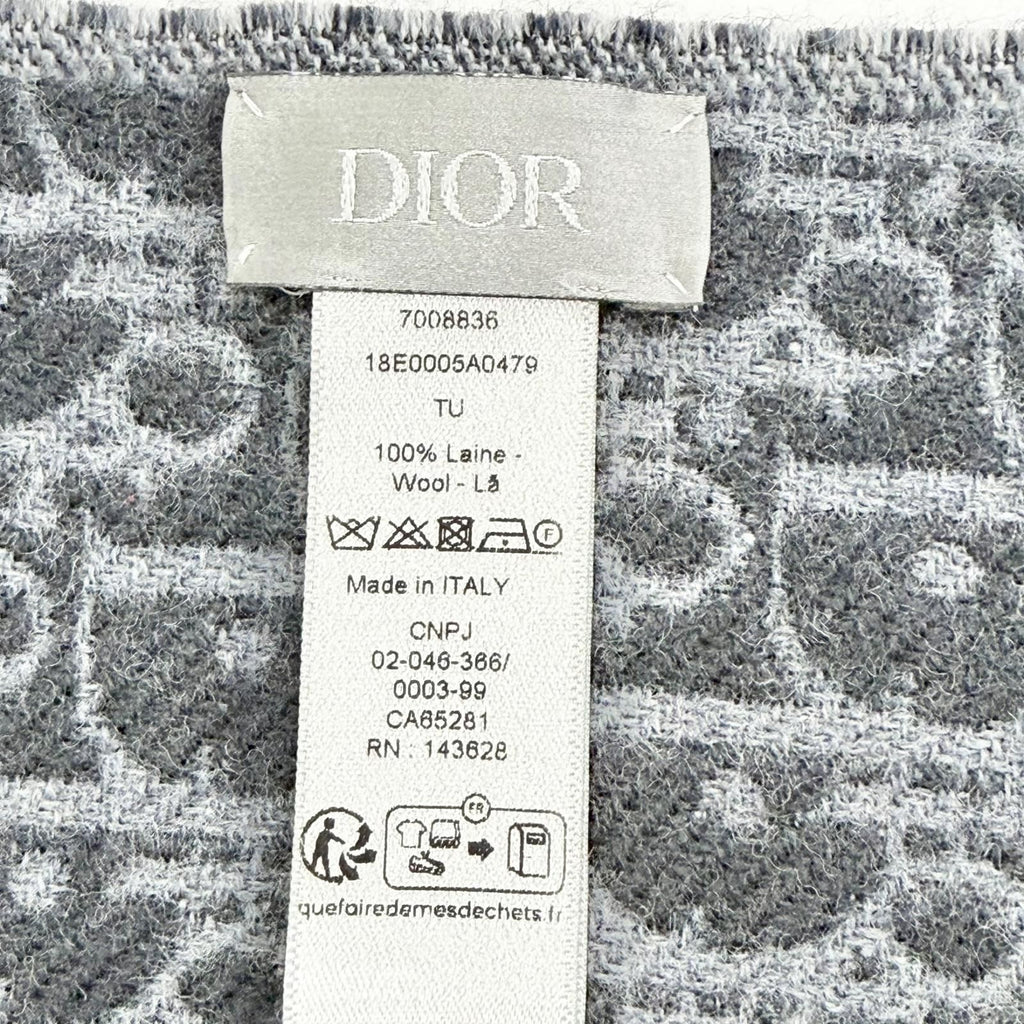 Dior Homme Trotter Wool 100% Fringe Long Scarf Gray — view 6