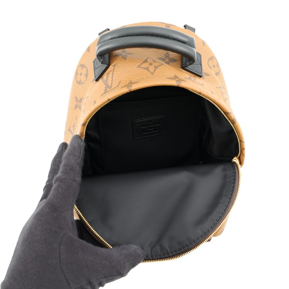 Louis Vuitton Backpack Monogram Reverse Palm Springs Mini Bag Black — view 5