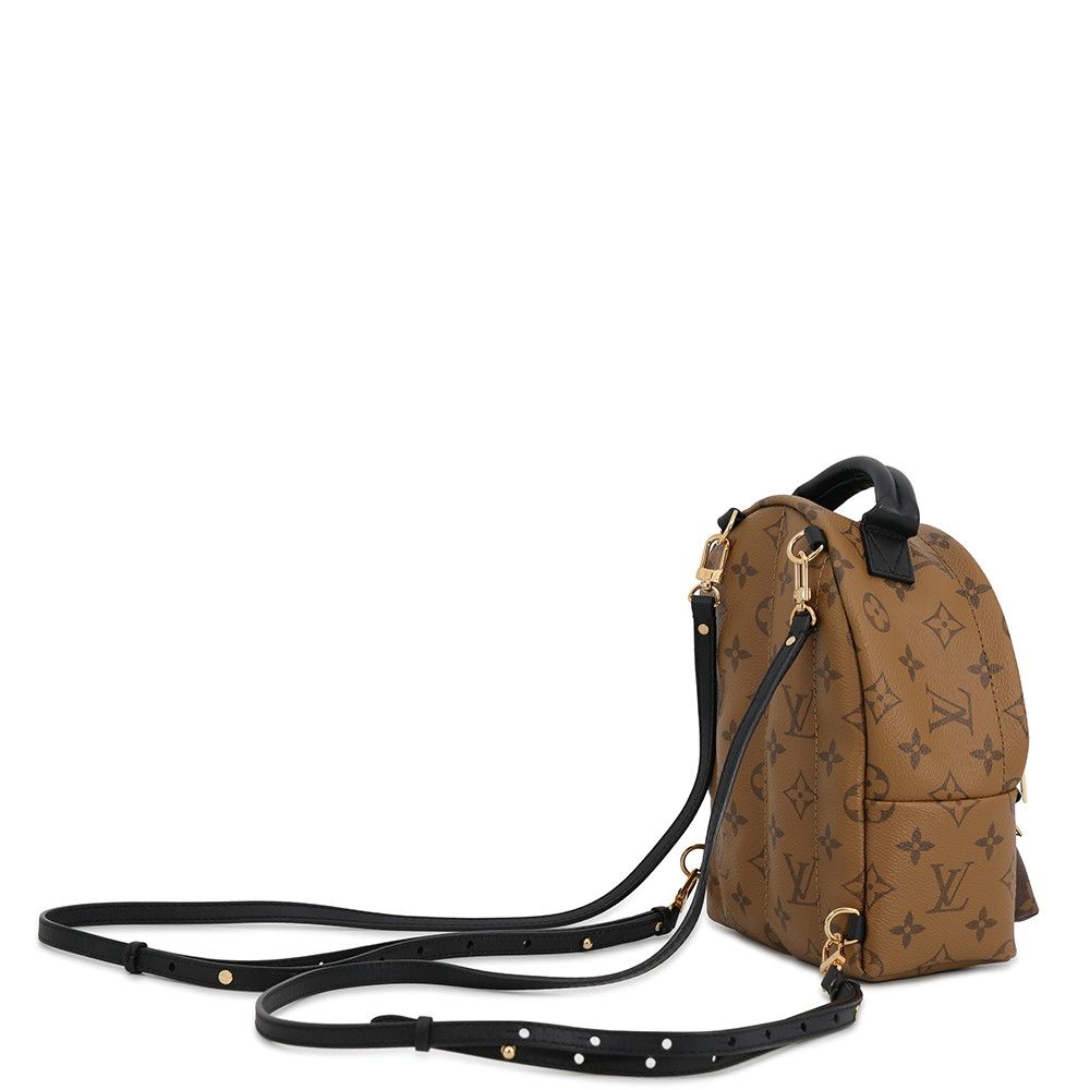Louis Vuitton Backpack Monogram Reverse Palm Springs Mini Bag Black — view 2