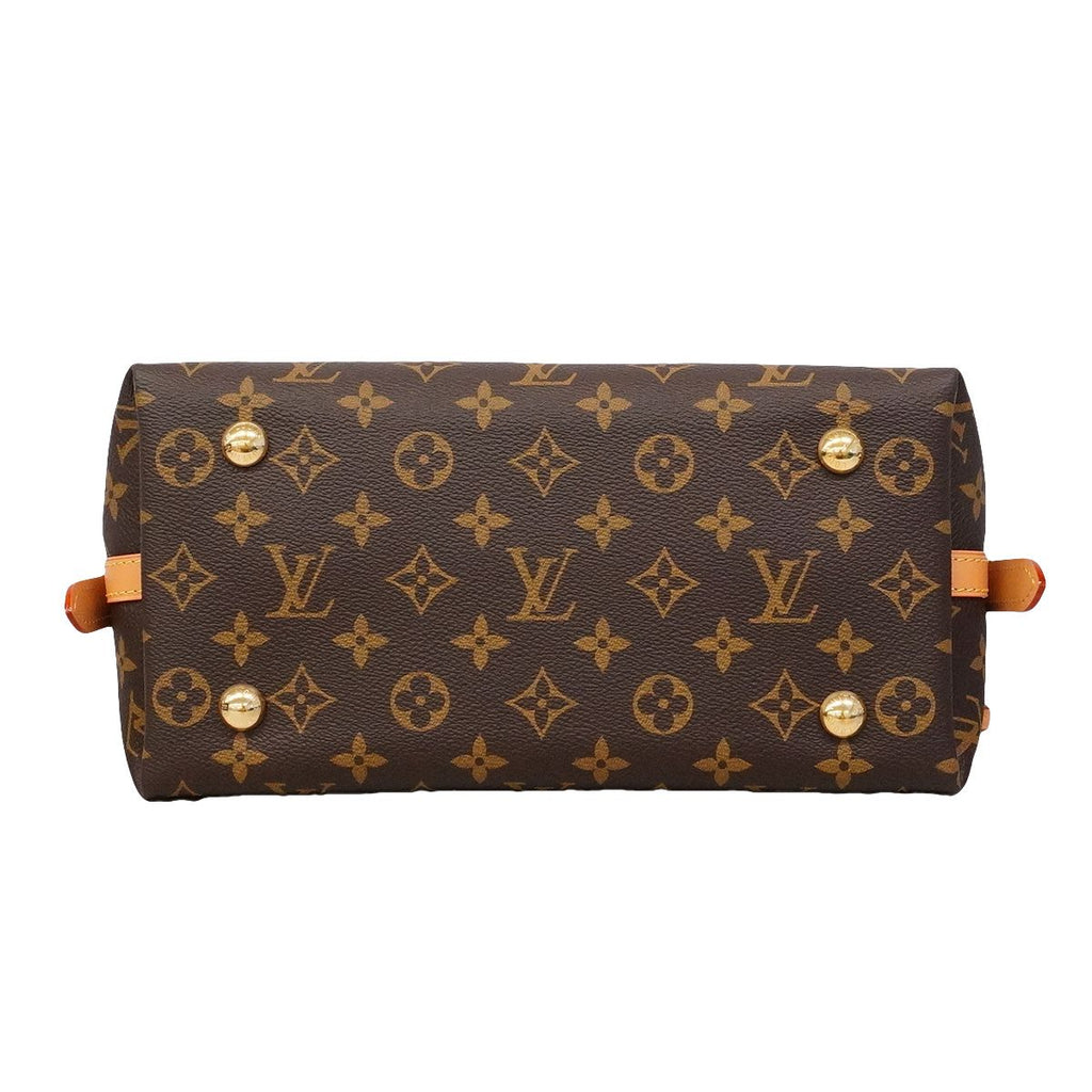 Louis Vuitton Shoulder Bag Monogram Carryall NMPM Brown — view 3