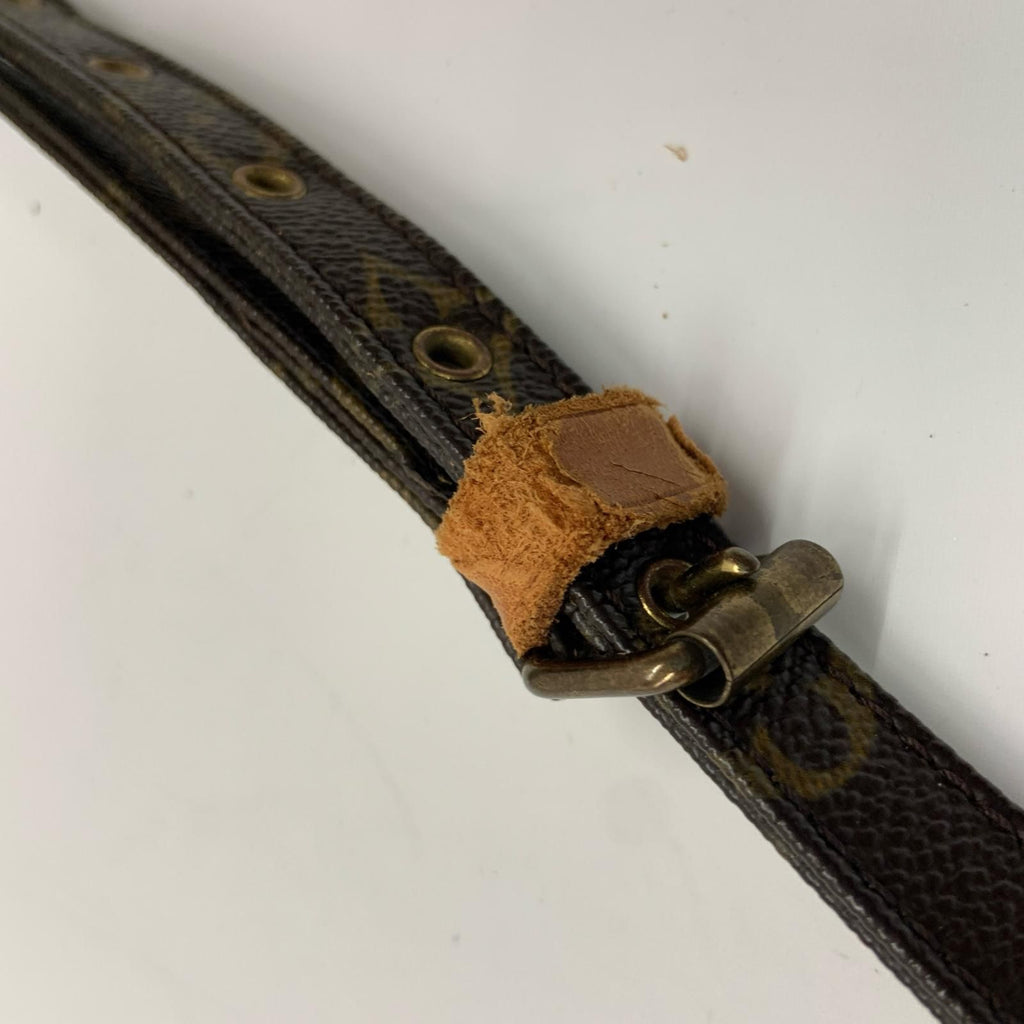 Louis Vuitton Monogram Amazon Shoulder Bag Brown — view 7