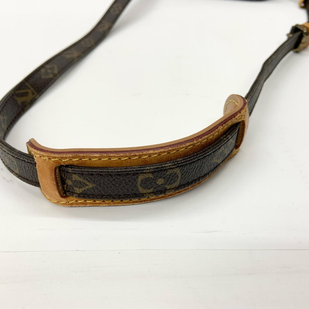 Louis Vuitton Monogram Amazon Shoulder Bag Brown — view 5