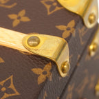 Louis Vuitton Trunk Case Monogram Malfleur Brown — view 7
