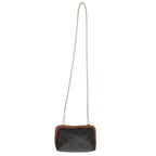 Celine Triomphe Canvas Chain Clutch — view 2