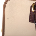 Loewe Amazona 28 2-Way Bicolor Shoulder Bag Beige Brown Bordeaux Leather Gold — view 8