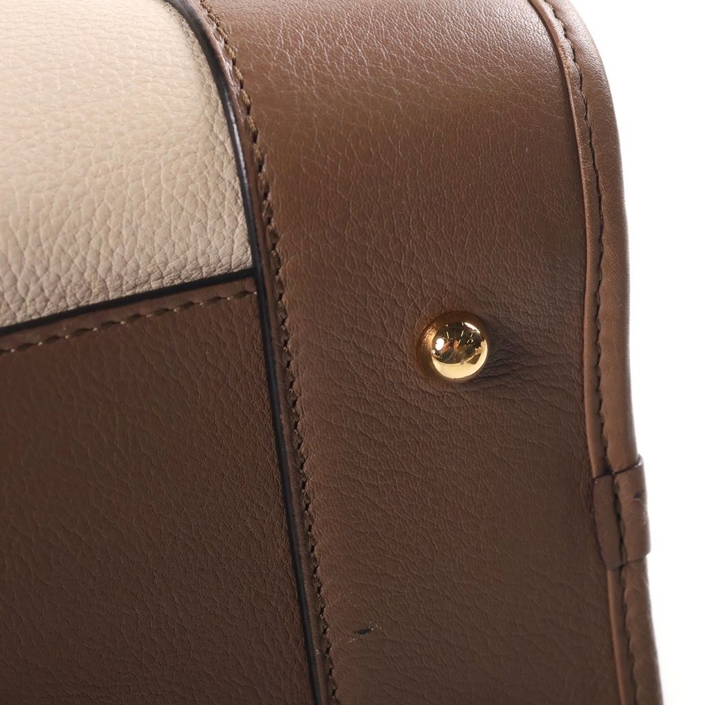 Loewe Amazona 28 2-Way Bicolor Shoulder Bag Beige Brown Bordeaux Leather Gold — view 6