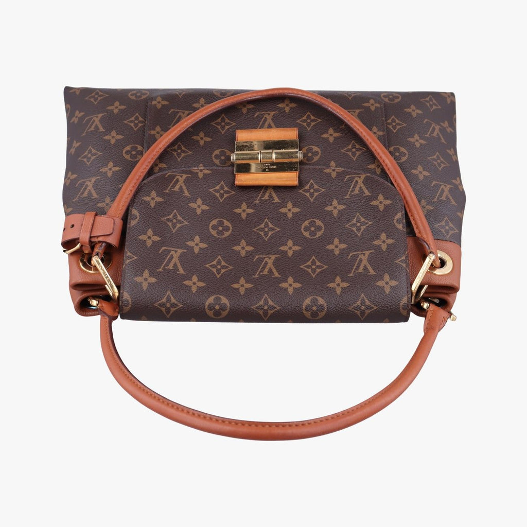 Louis Vuitton Olympe Monogram Brown Avane Canvas Calfskin — view 8