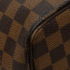 Louis Vuitton Damier Saleya PM Tote Bag Brown Leather — view 4