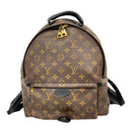 Louis Vuitton Backpack Monogram Palm Springs MM Brown
