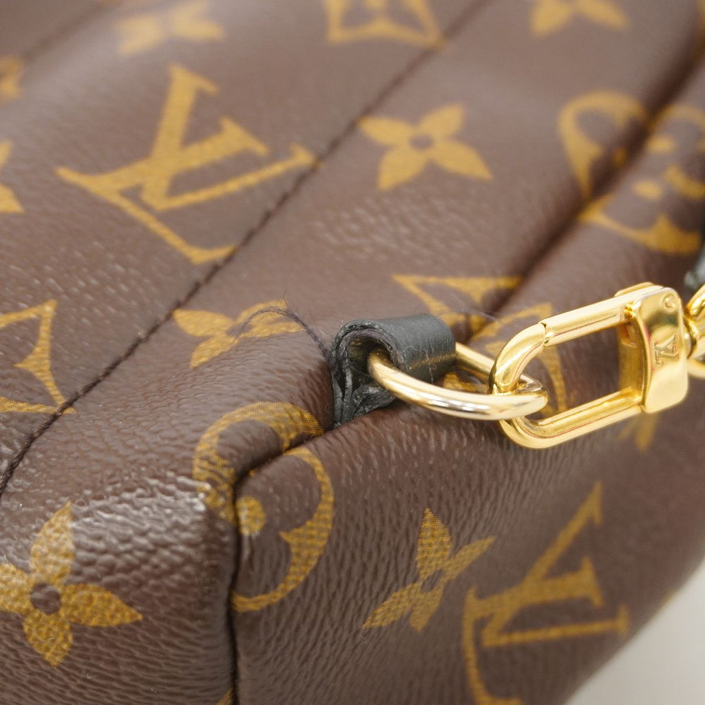 Louis Vuitton Backpack Monogram Palm Springs Mini Brown — view 7