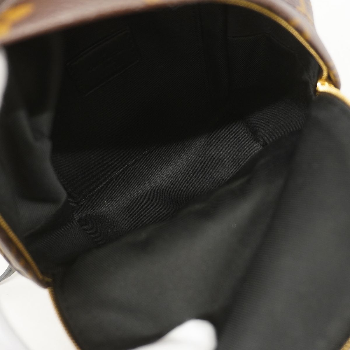 Louis Vuitton Backpack Monogram Palm Springs Mini Brown — view 4