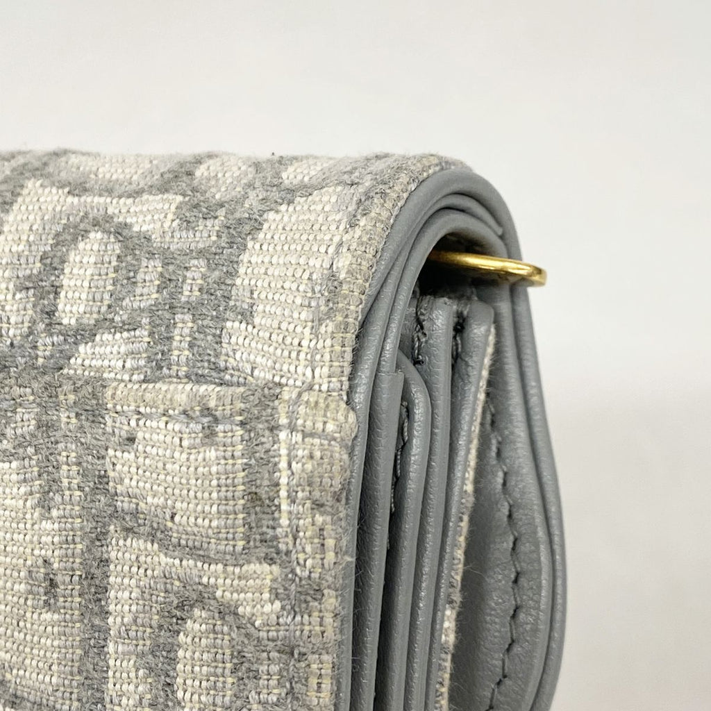 Dior Trifold Wallet Saddle Canvas Gray Gold — view 6