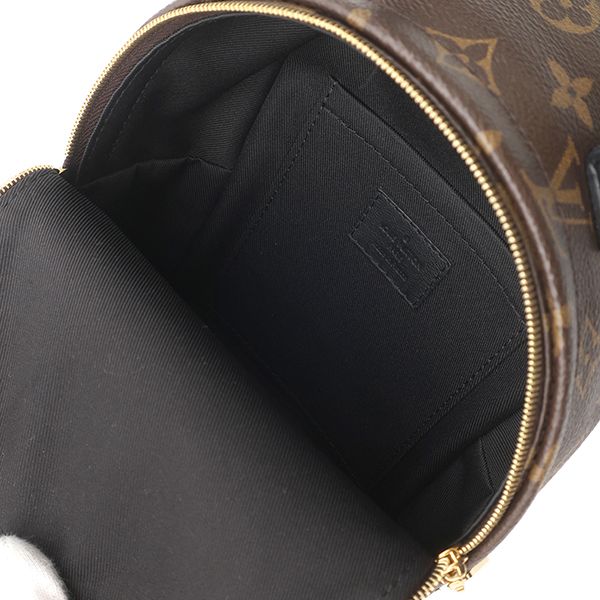 Louis Vuitton 2-Way Palm Springs Backpack Mini Monogram Canvas Gold Brown — view 6