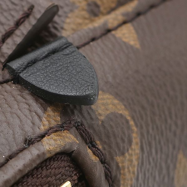 Louis Vuitton 2-Way Palm Springs Backpack Mini Monogram Canvas Gold Brown — view 5