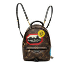 Louis Vuitton Monogram World Tour Palm Springs Mini Backpack Brown Leather
