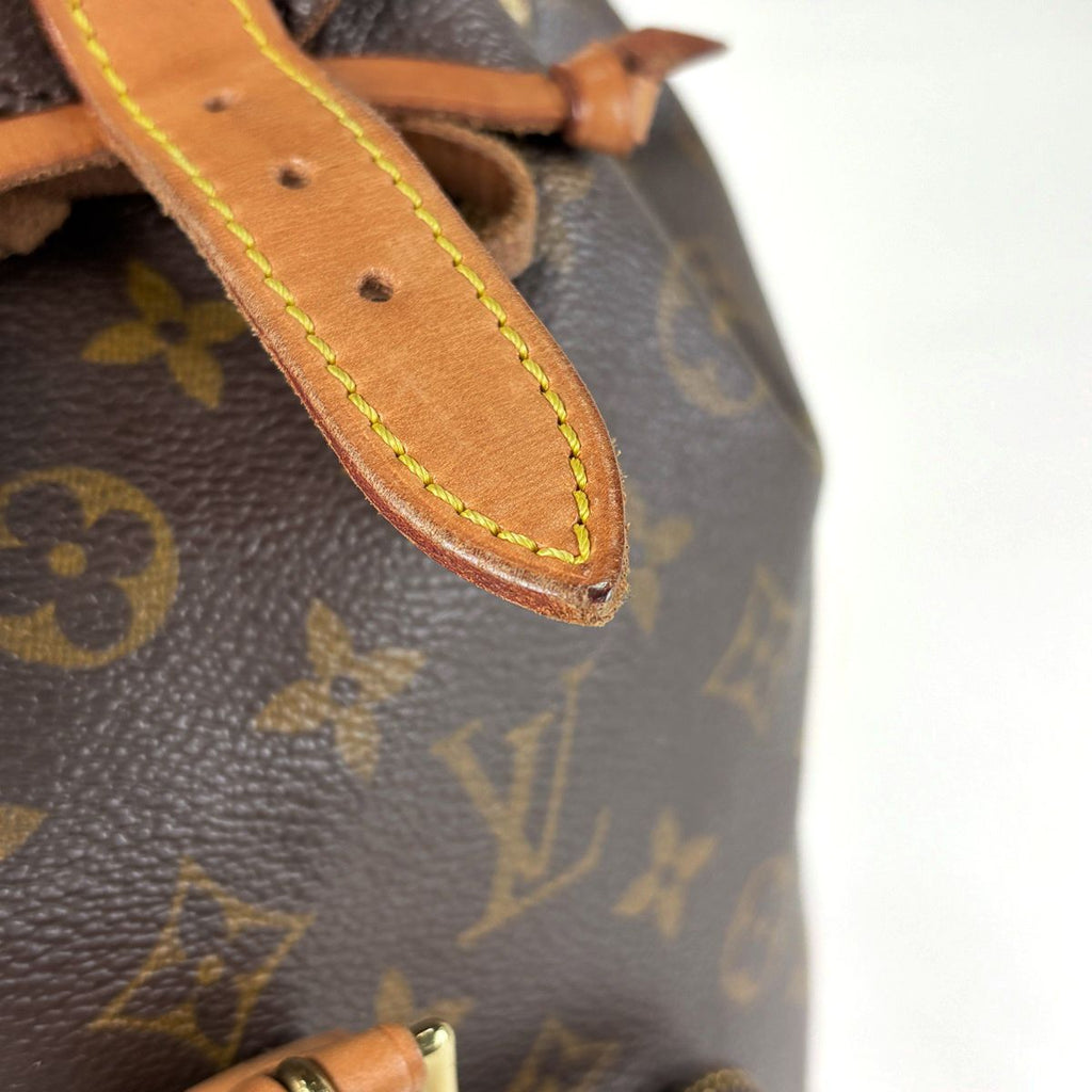 Louis Vuitton Montsouris MM Backpack Monogram Brown — view 6