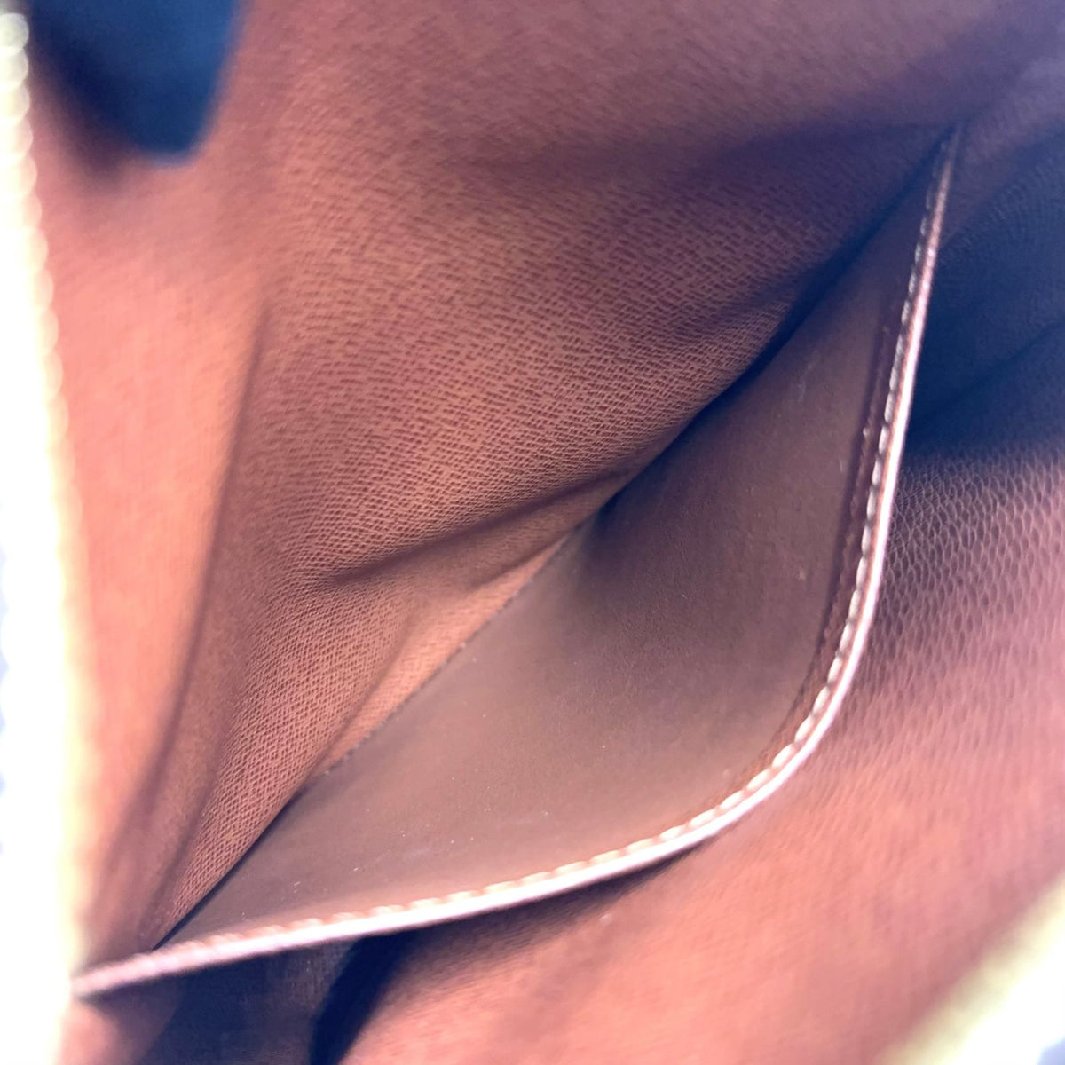 Louis Vuitton Amazon Monogram Leather Brown Shoulder Bag Gold — view 6