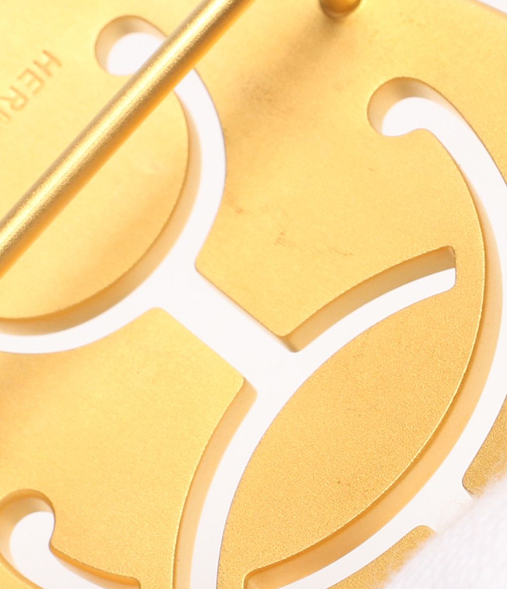 Hermes Buckle Gold Double Shoulder Bag — view 5