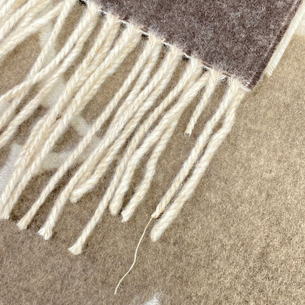 Louis Vuitton Scarf Echarpe Reykjavik Gradient Beige Cashmere — view 4